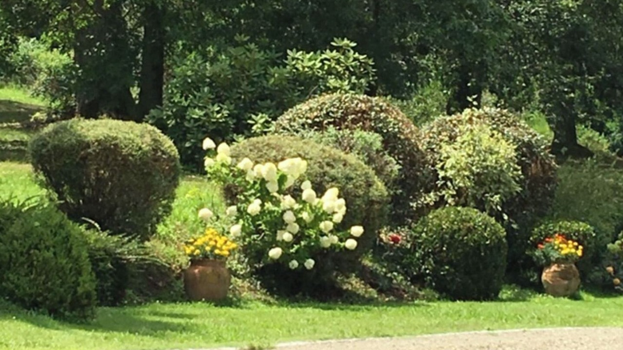Photo of Others in Saint-Pierre-du-Mont