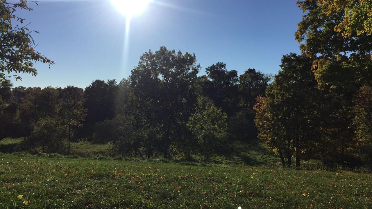 Photo of Outdoor in Town of Copake