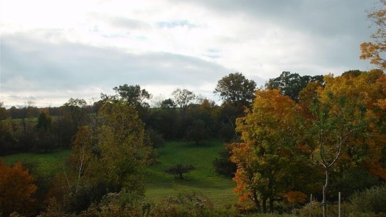 Photo of Others in Town of Copake