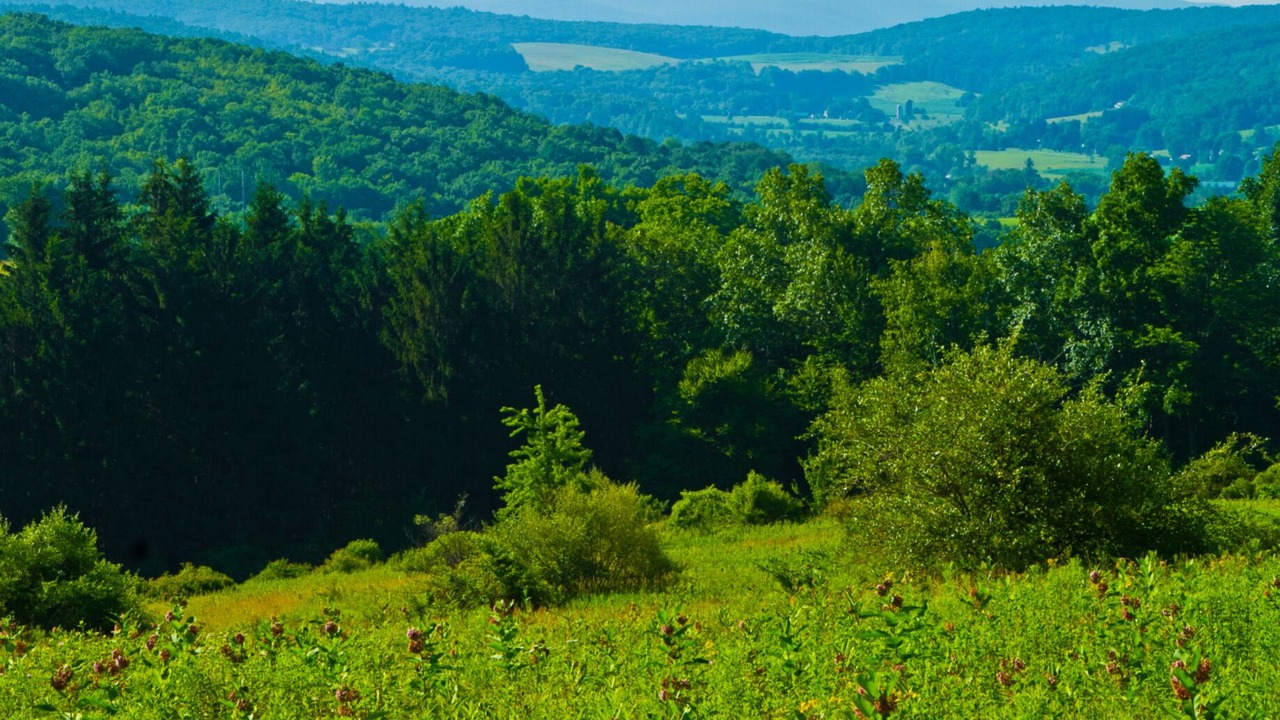 Photo of Others in Town of Copake