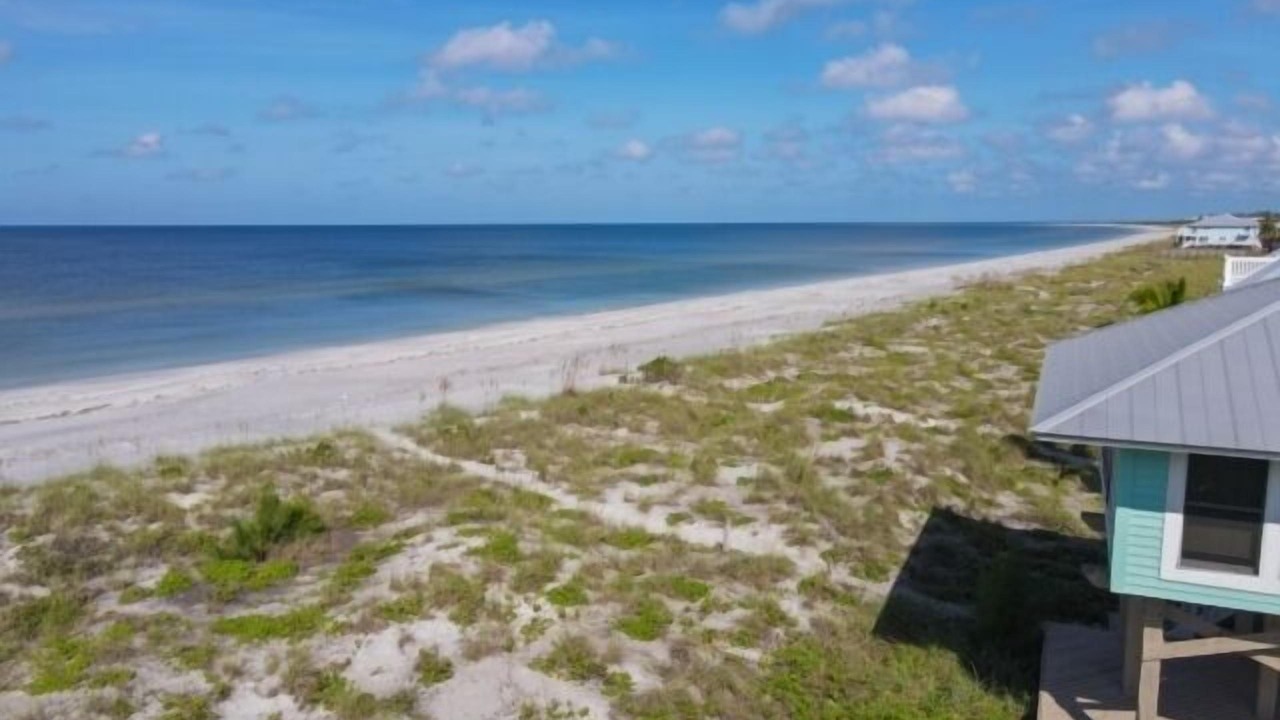 Photo of Others in Palm Island