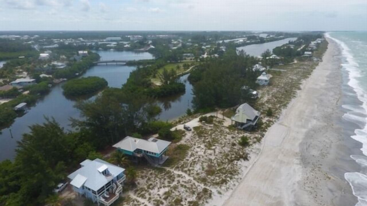 Photo of Others in Palm Island