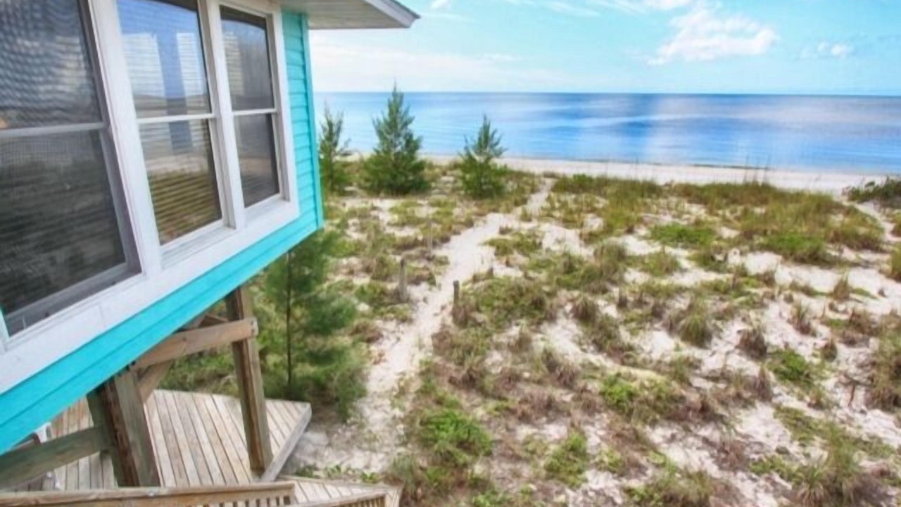 Photo of Outdoor in Palm Island