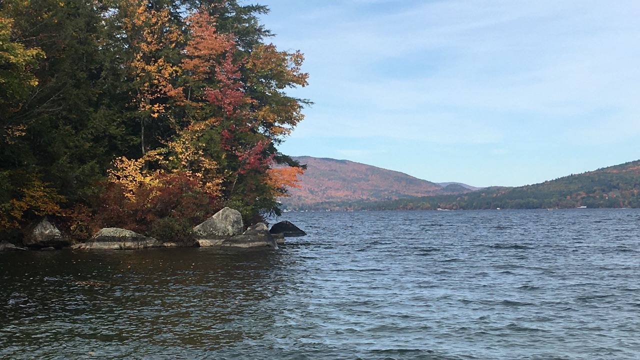 Photo of Others in Bristol