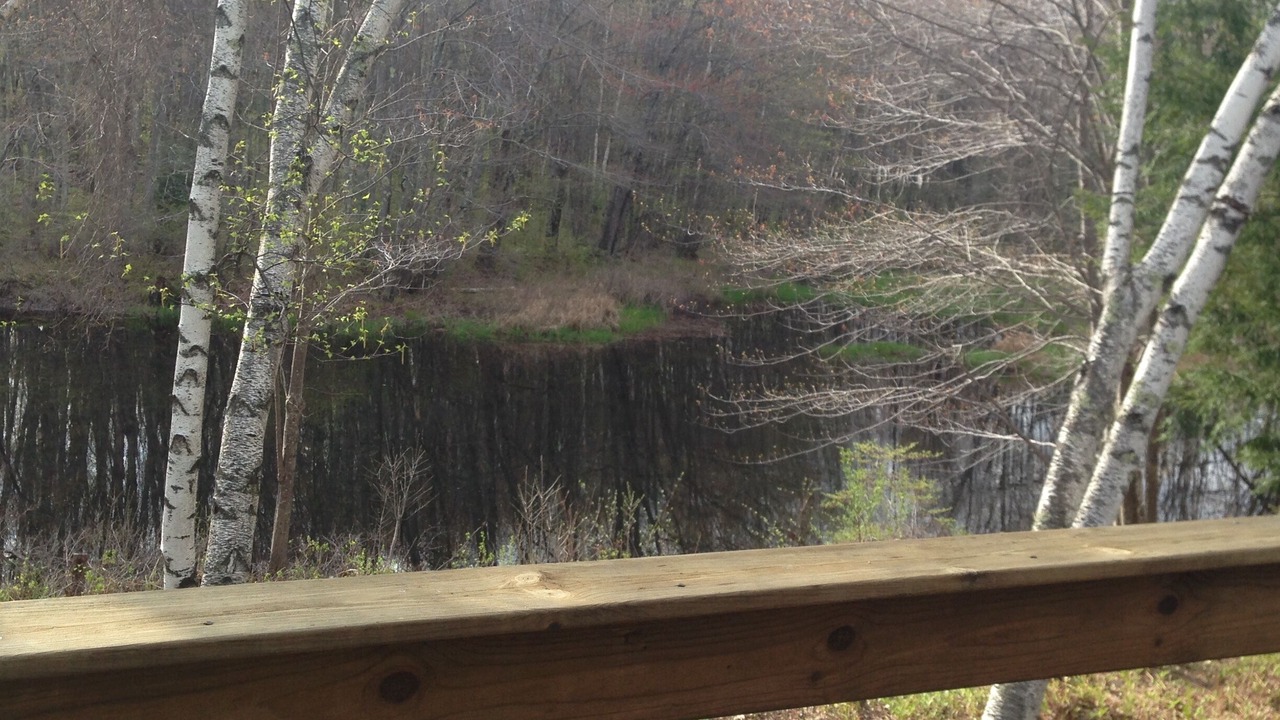 Photo of Outdoor in Bristol