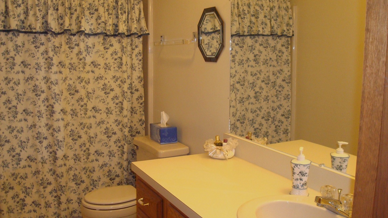 Photo of Others in Bristol