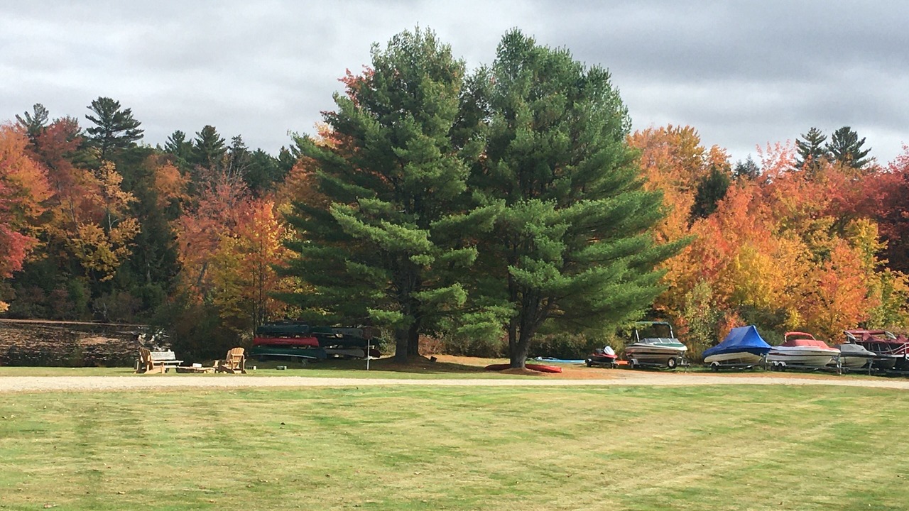 Photo of Others in Bristol