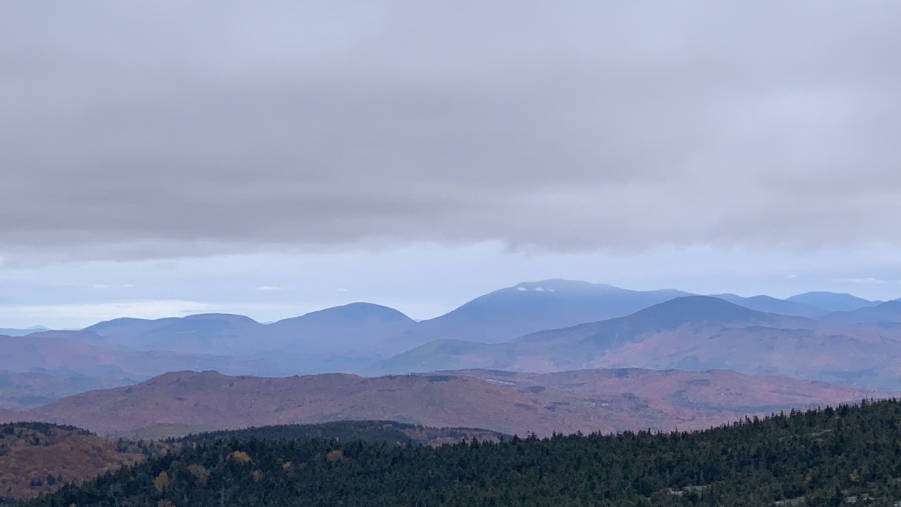 Photo of Others in Bristol