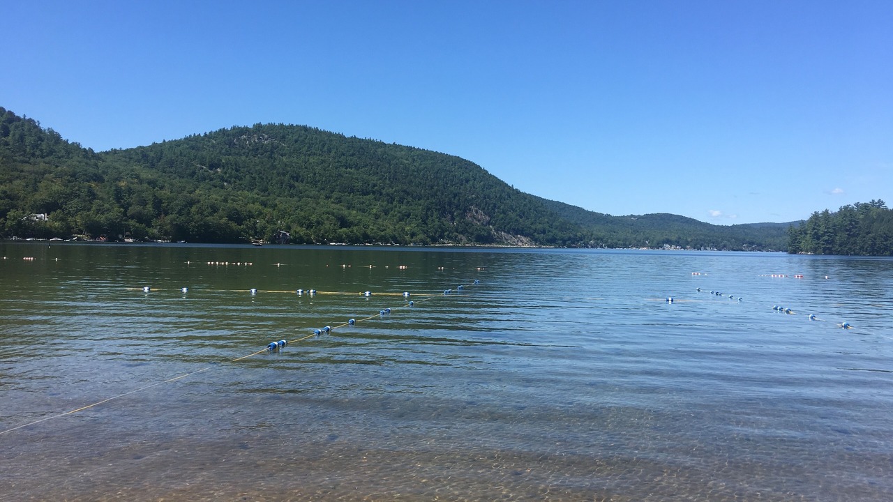 Photo of Others in Bristol