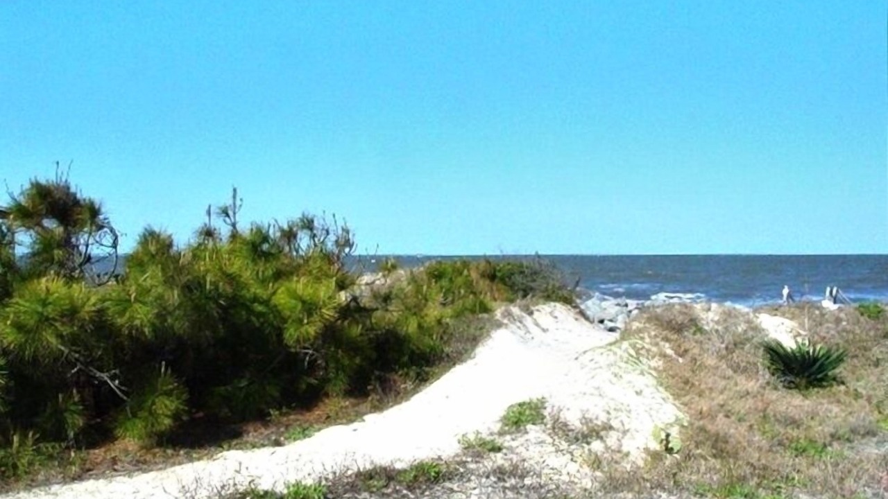 Photo of Others in Jekyll Island