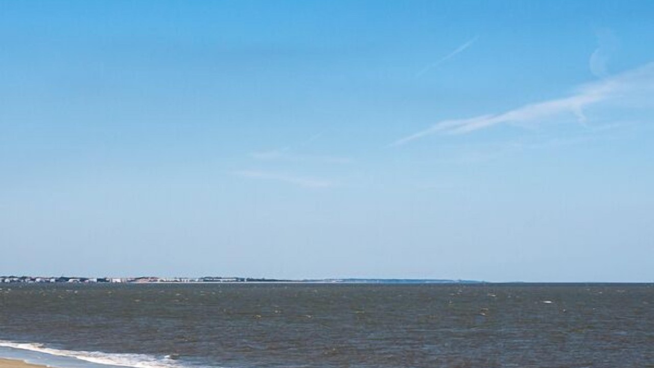 Photo of Others in Jekyll Island