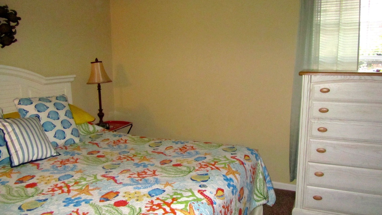 Photo of Others in Jekyll Island