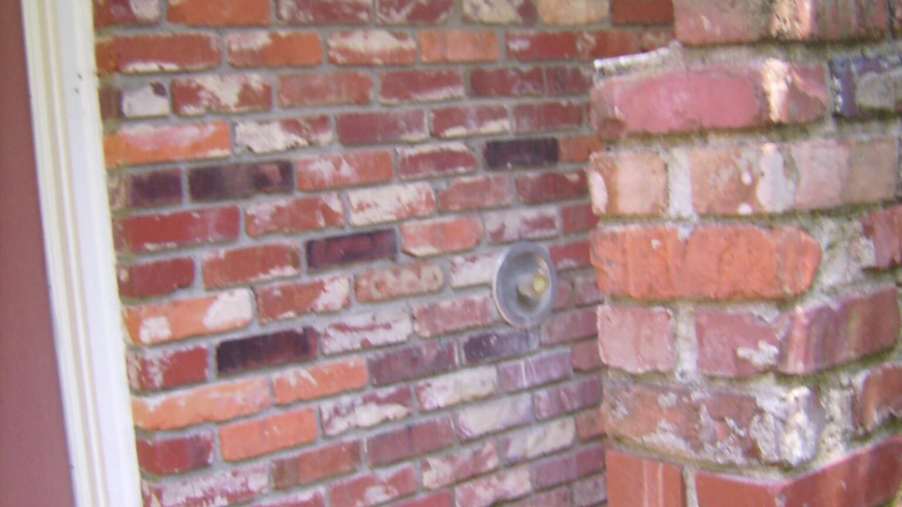 Photo of Others in Jekyll Island