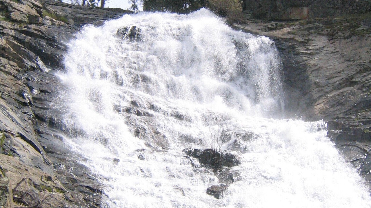 Photo of Others in Foresta