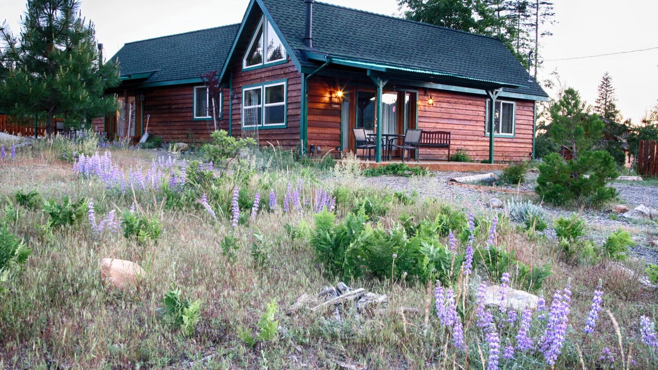 Photo of Outdoor in Foresta