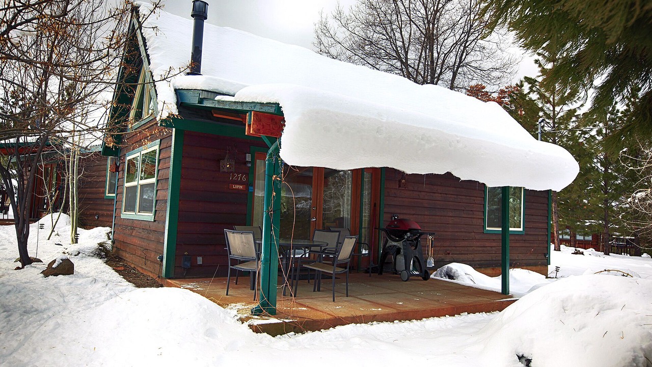 Photo of Outdoor in Foresta