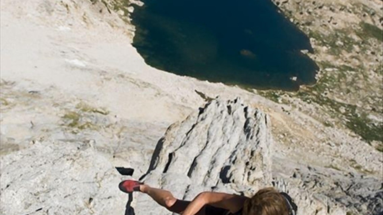 Photo of Others in Foresta