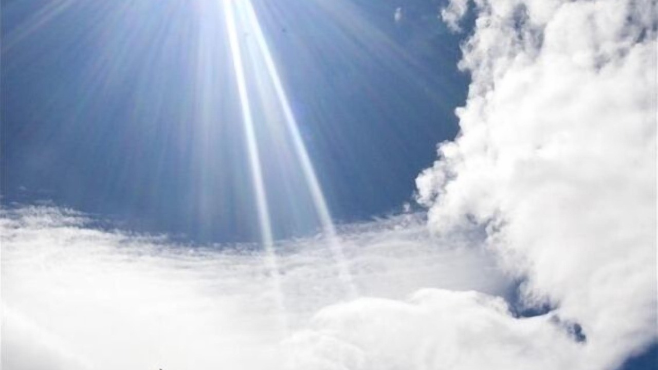 Photo of Others in Foresta