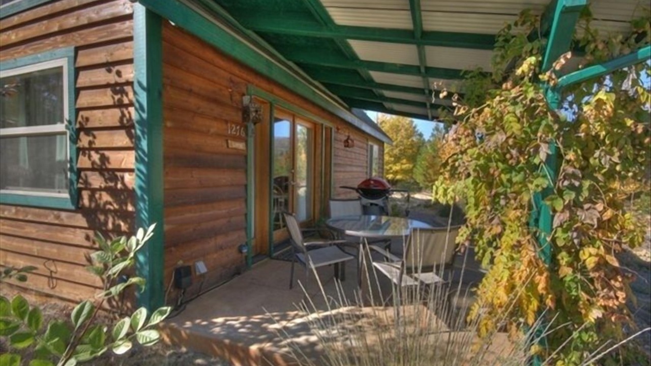 Photo of Outdoor in Foresta
