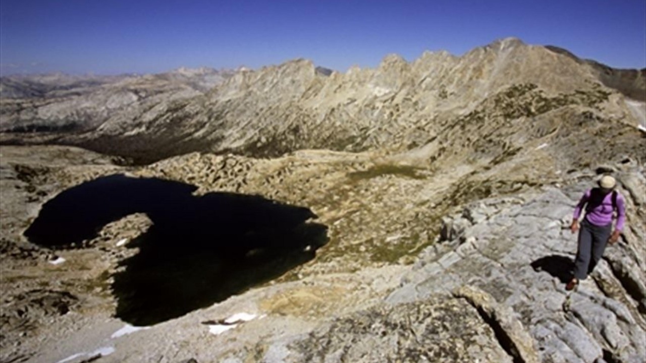 Photo of Others in Foresta