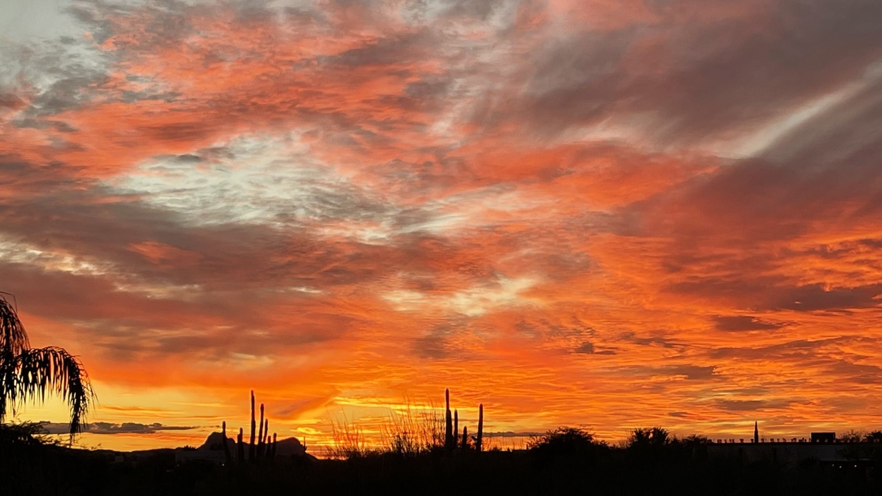 Photo of Others in Oro Valley