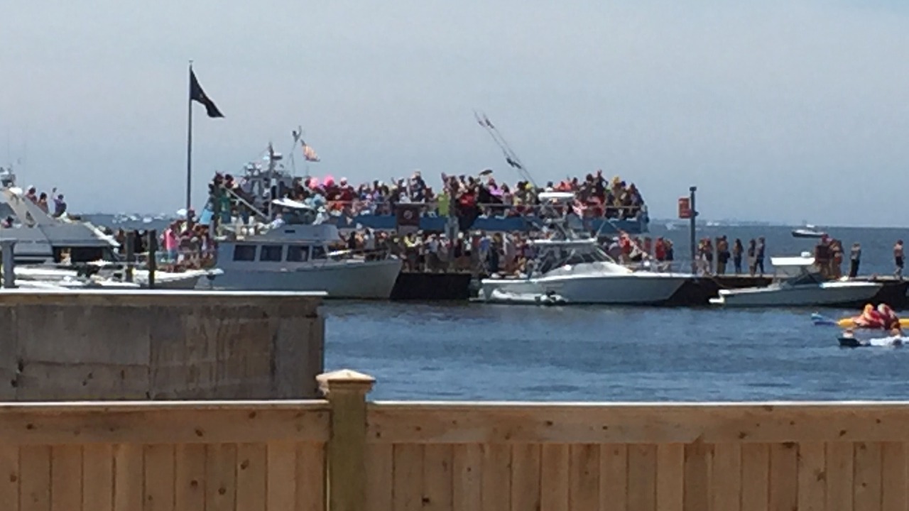 Photo of Others in Cherry Grove