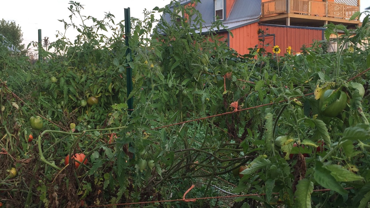 Photo of Others in Canton