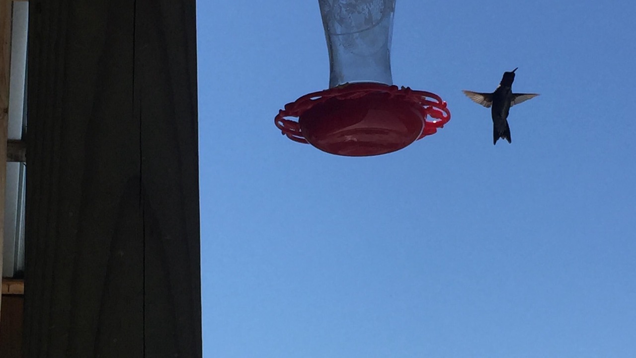 Photo of Others in Canton