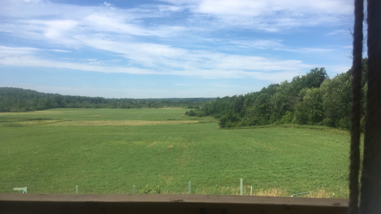 Photo of Others in Canton