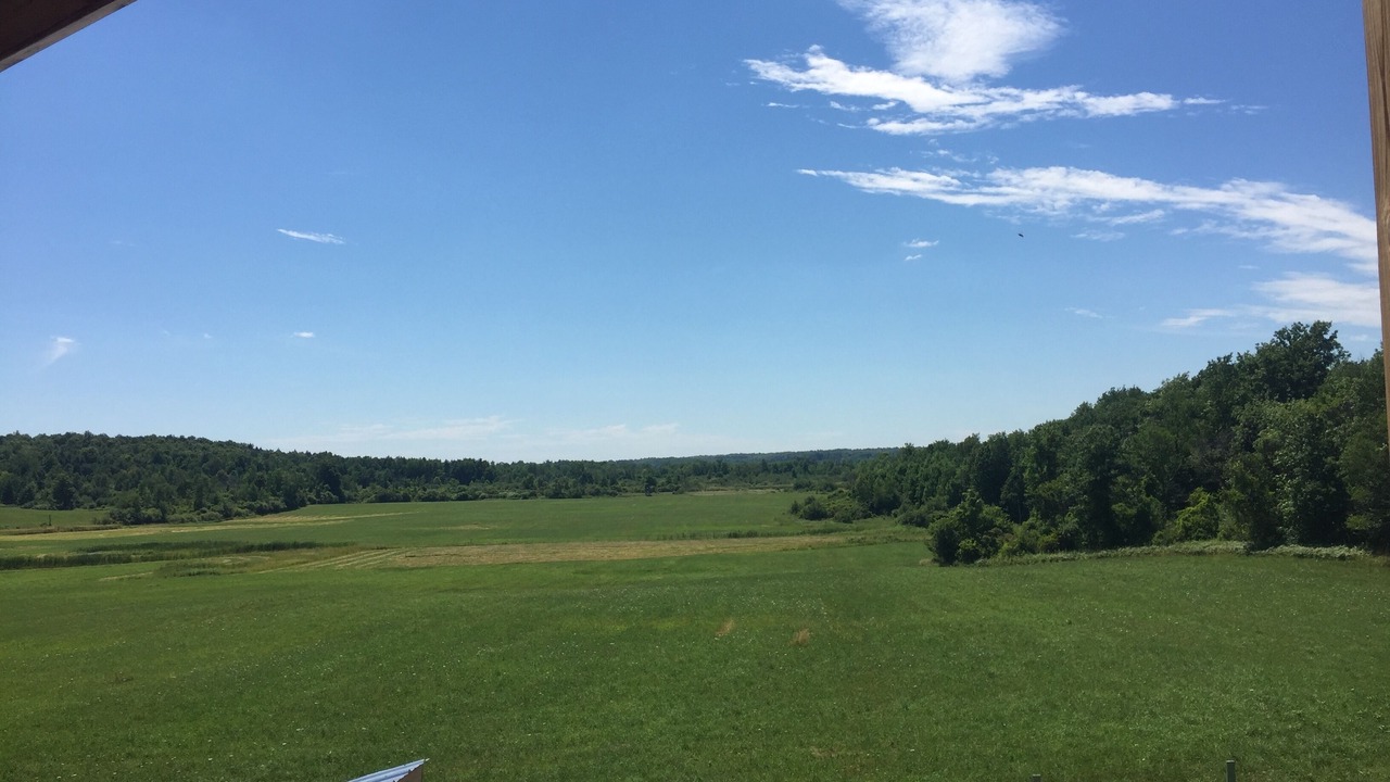 Photo of Others in Canton