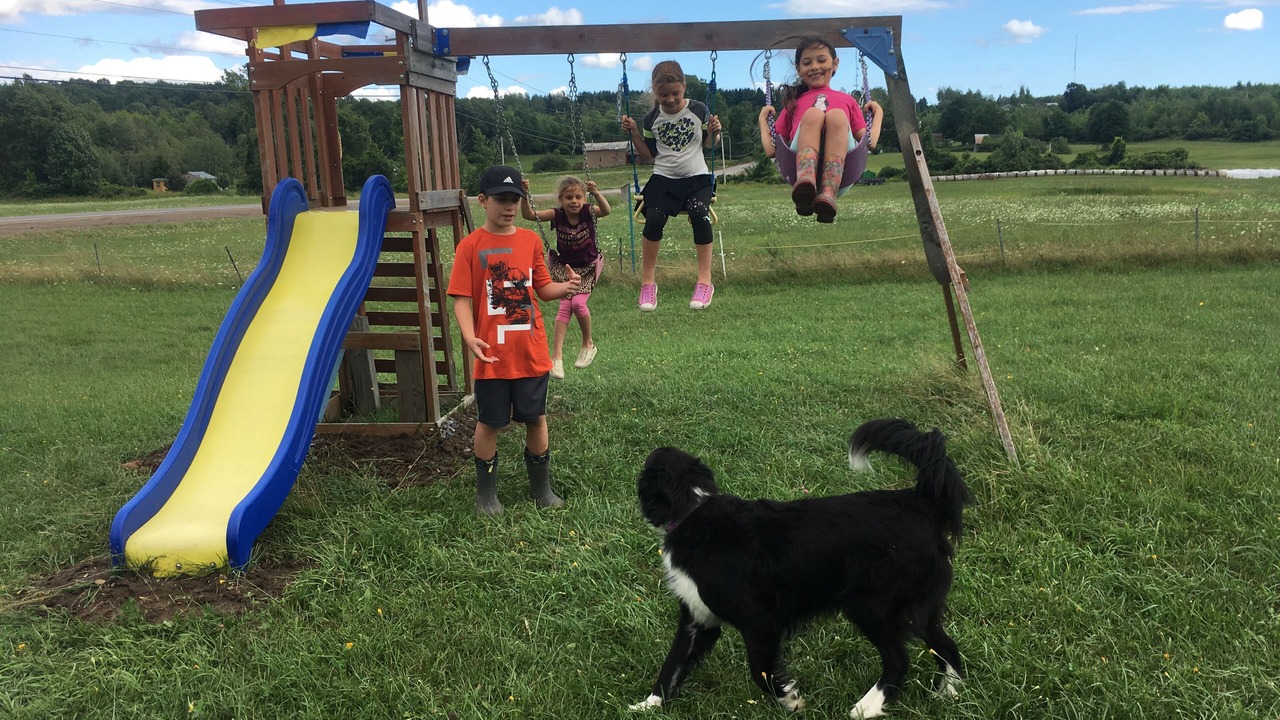 Photo of Others in Canton