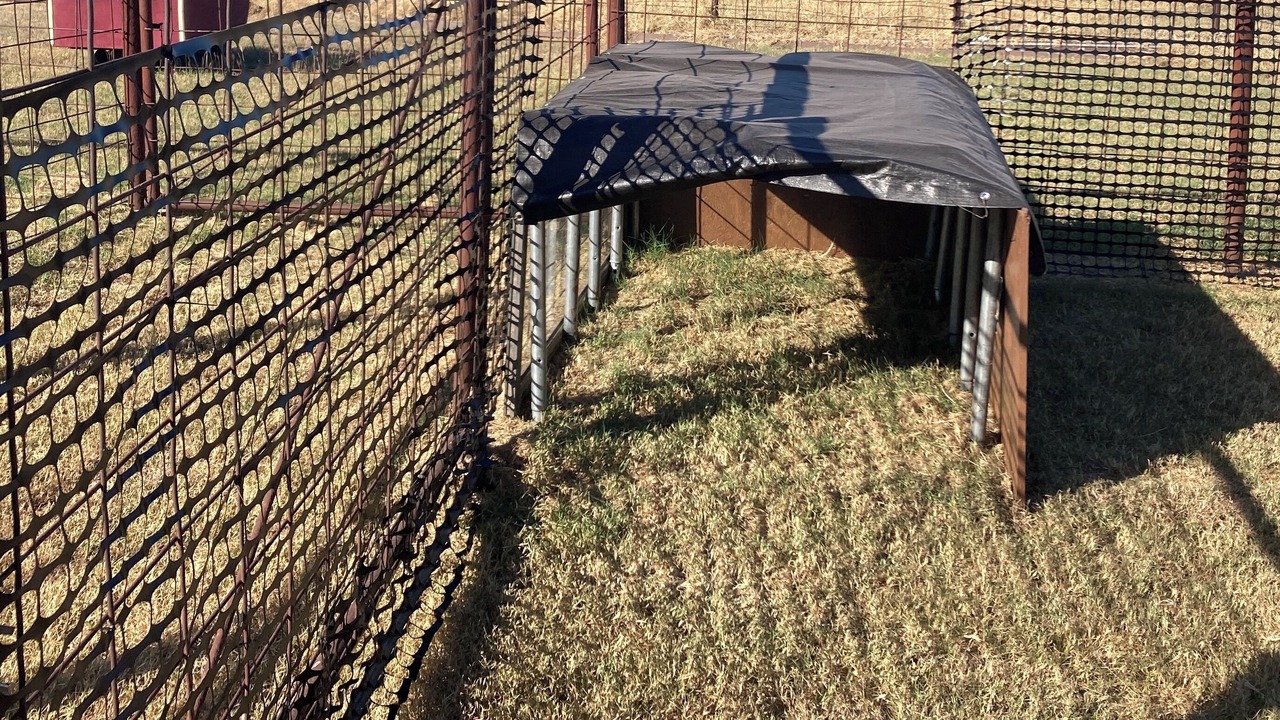 Photo of Outdoor in Comanche County