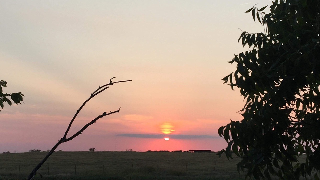 Photo of Others in Comanche County