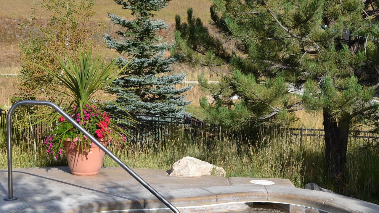 Photo of Others in Steamboat Springs