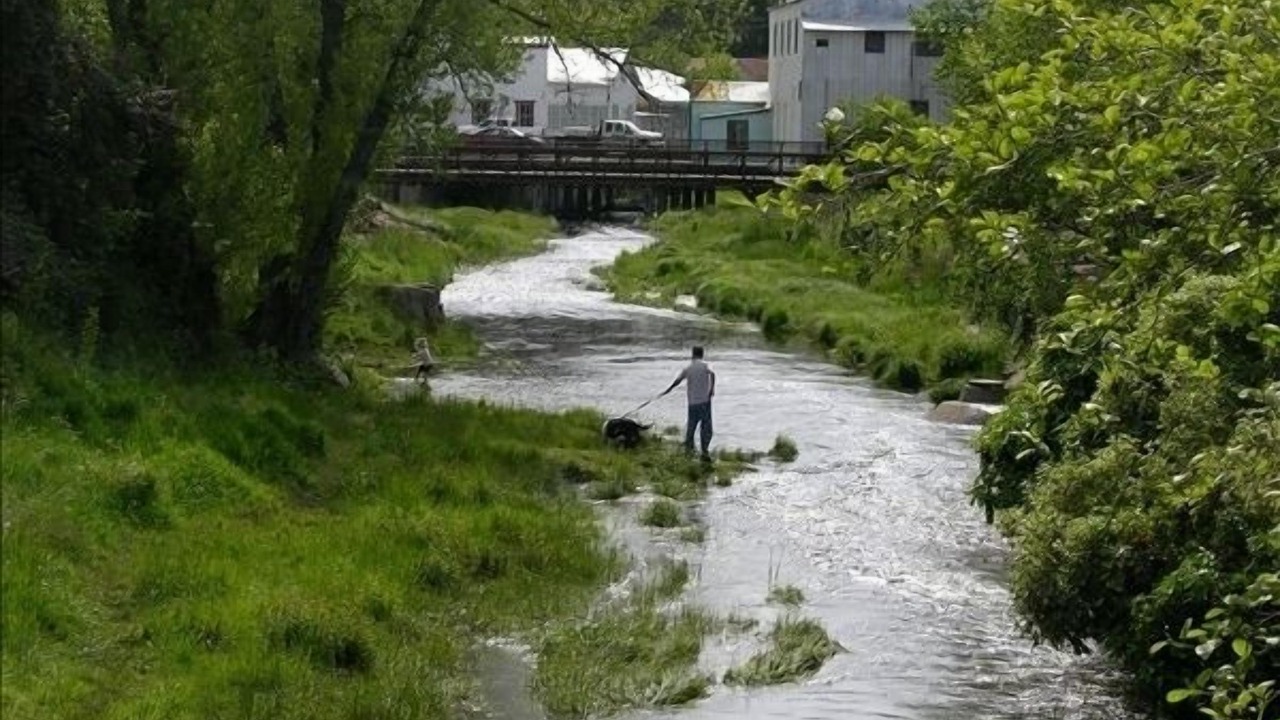 Photo of Outdoor in Sutter Creek