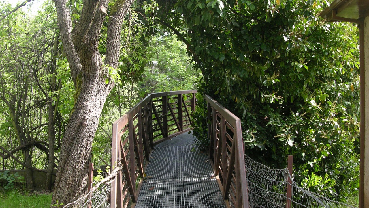 Photo of Outdoor in Sutter Creek