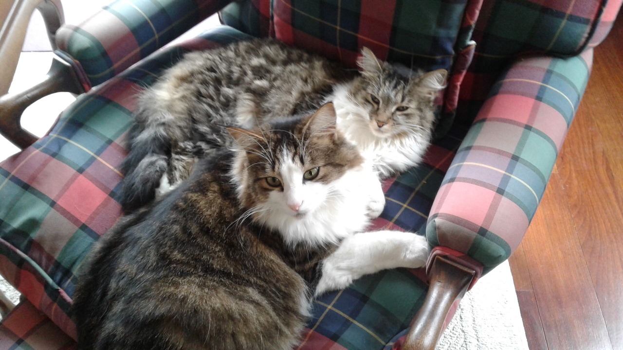 Photo of Others in Waitsfield