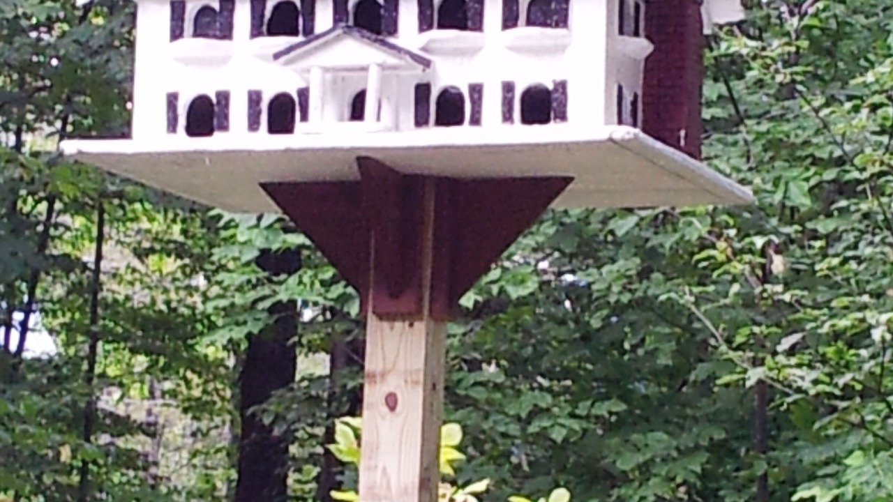 Photo of Others in Waitsfield