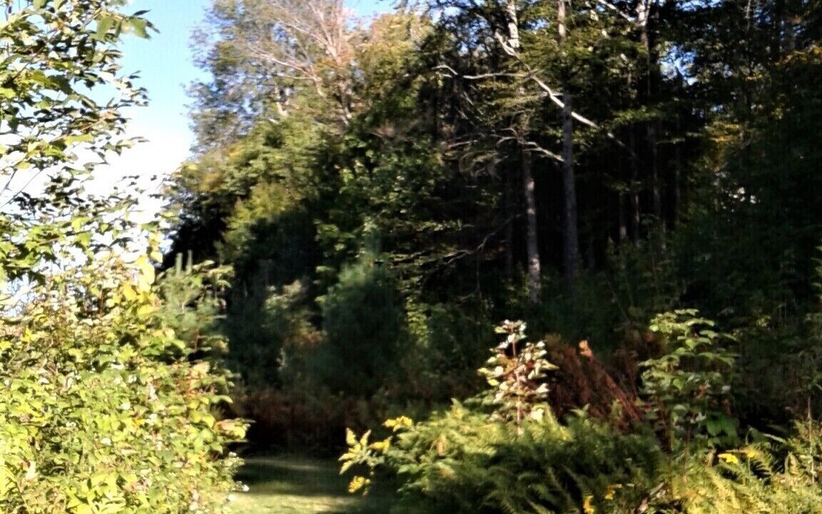 Photo of Others in Waitsfield