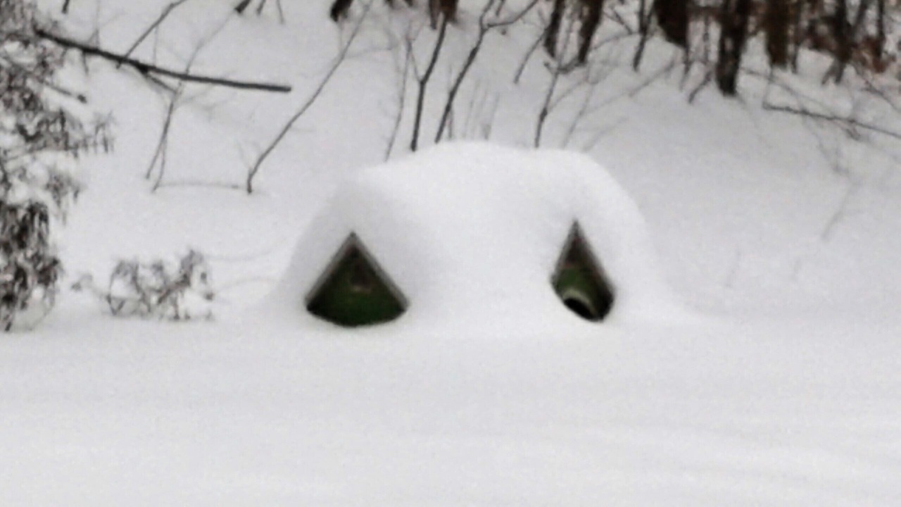 Photo of Others in Waitsfield