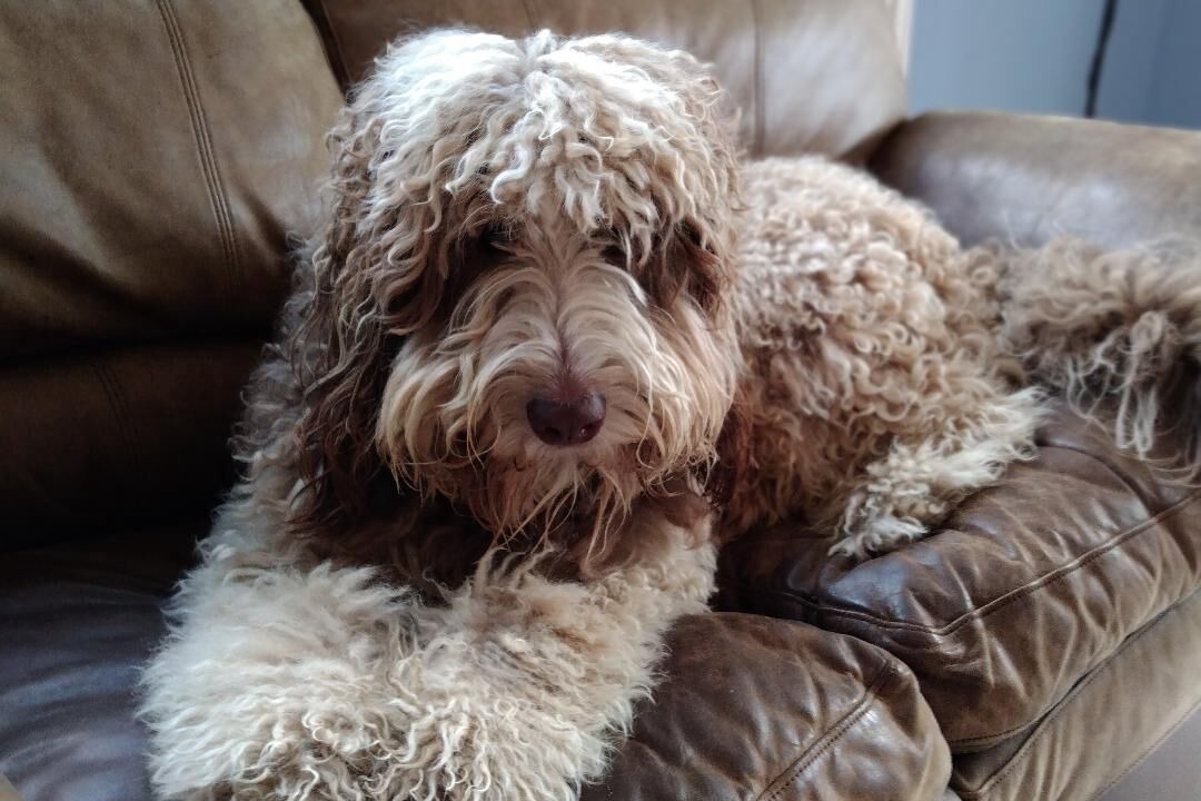 Photo of Others in Waitsfield