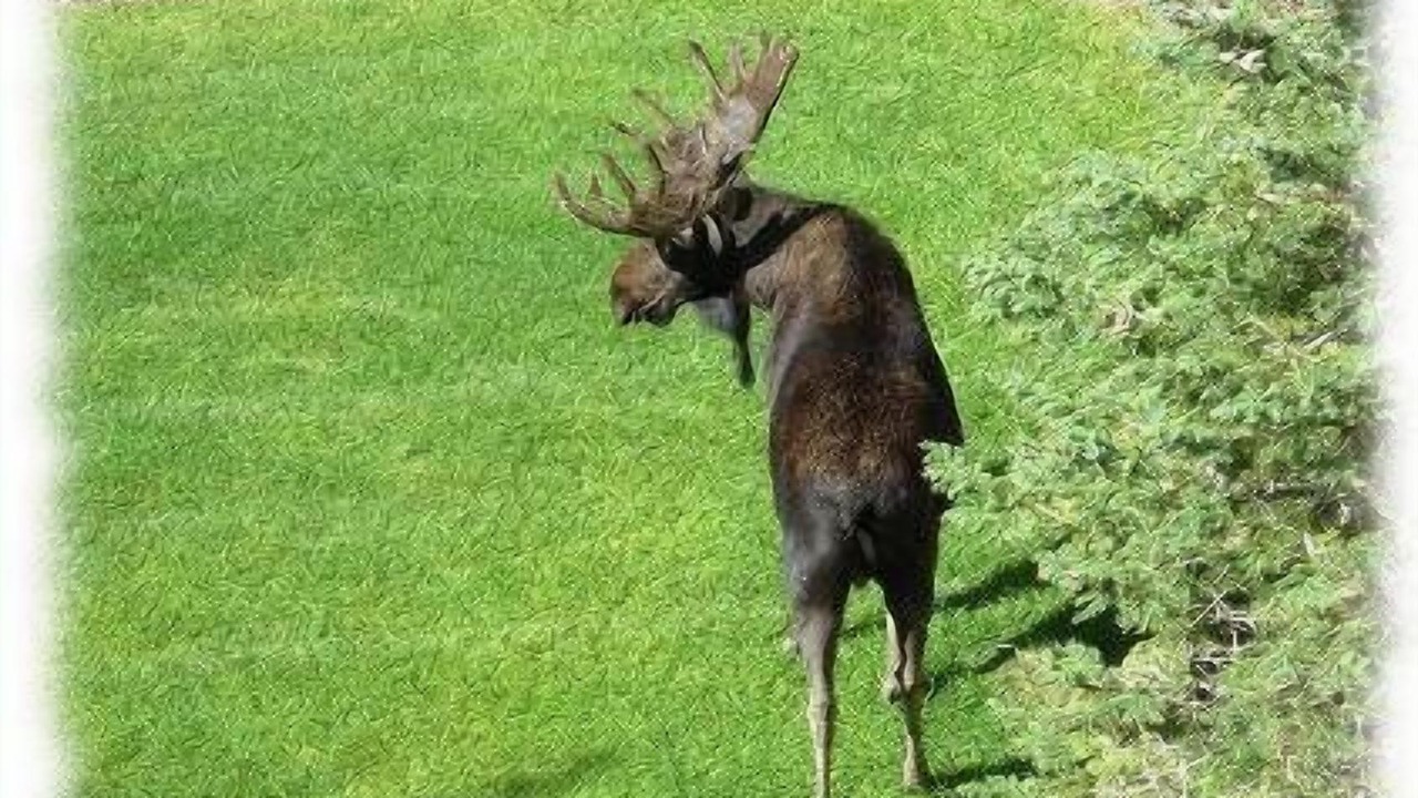 Photo of Others in Salt Lake Mountain Resorts