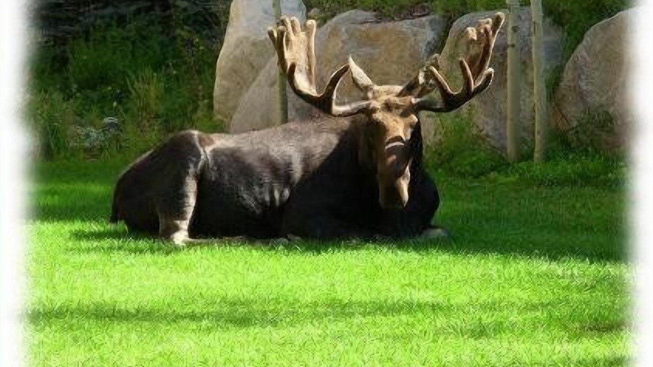 Photo of Outdoor in Salt Lake Mountain Resorts