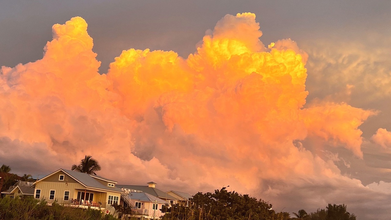 Photo of Others in Bradenton Beach