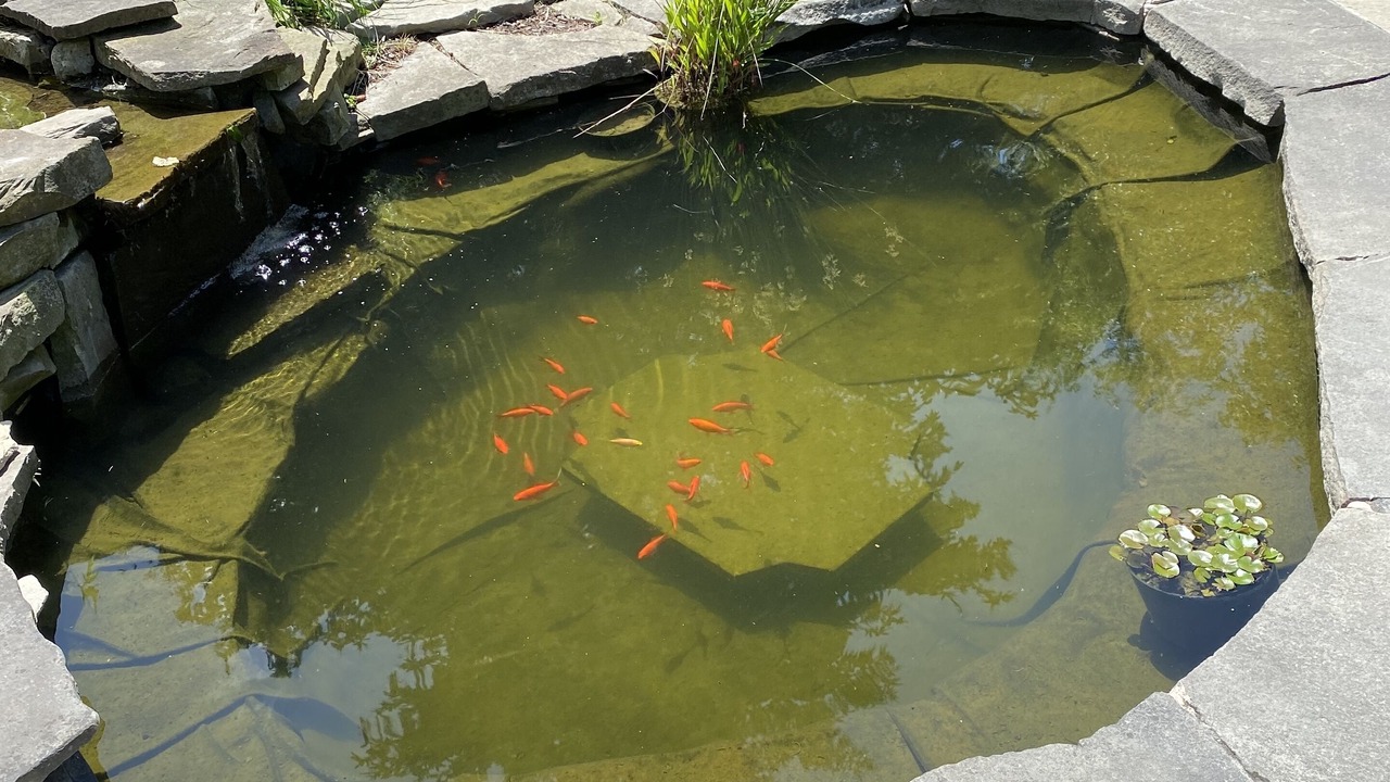 Photo of Others in Ithaca