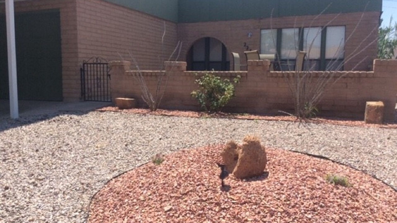 Photo of Others in Alamogordo