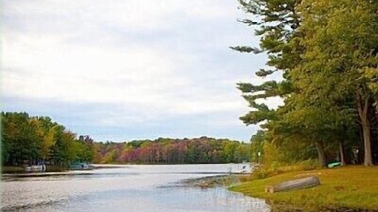 Photo of Outdoor in Saugatuck