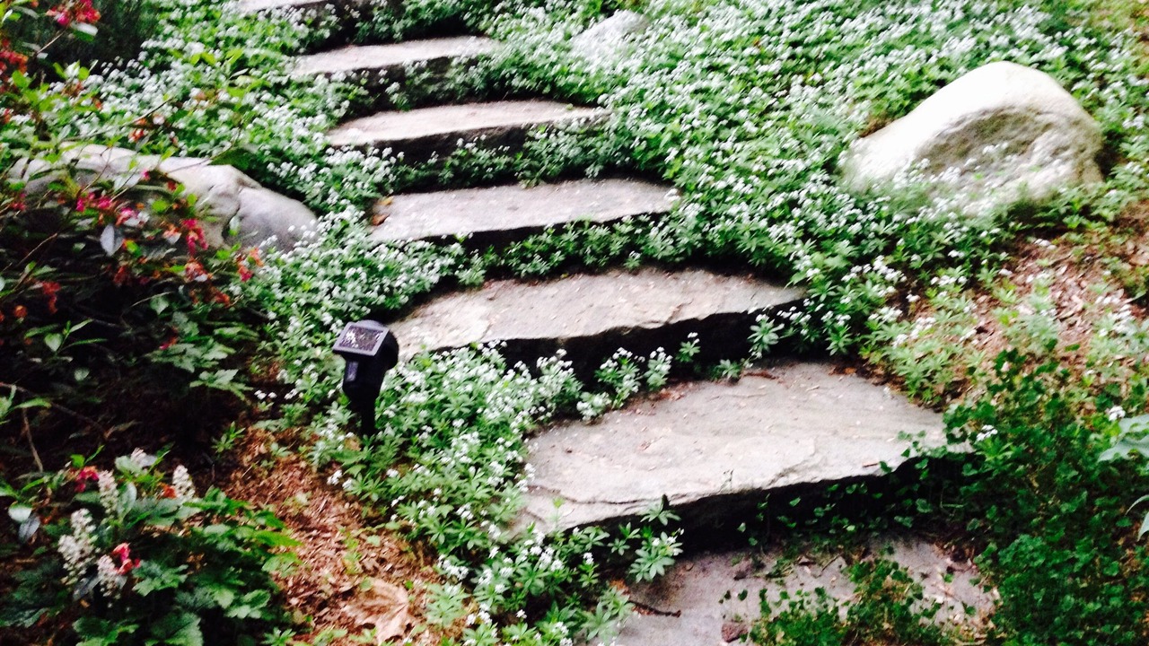 Photo of Outdoor in Madison