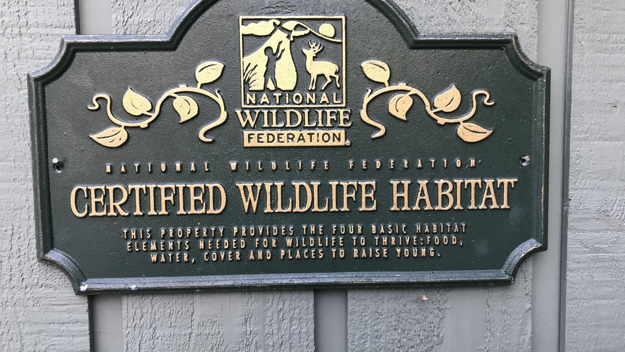 Photo of Others in Madison