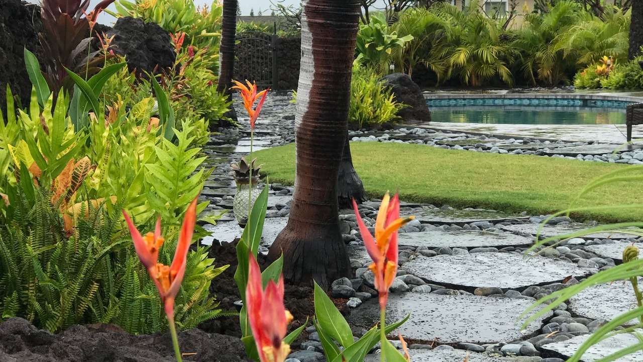 Photo of Others in Alii Heights Mauka